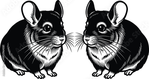 Symmetric black and white woodcut illustration of two cute chinchillas facing each other isolated on a clean white background vector.