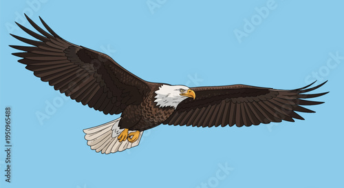 Detailed vector illustration of an American bald eagle soaring with wings fully extended against a solid light blue sky, featuring characteristic white head and tail and brown body.