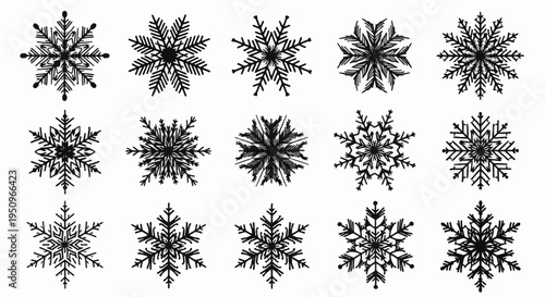 Collection of fifteen black silhouette snowflake icons with various geometric shapes and intricate crystal designs isolated on a white background for winter and holiday decor.