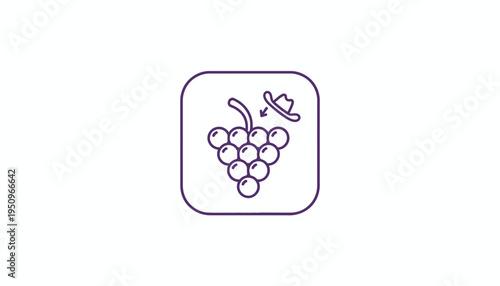 Grapes Icon with Cowboy Hat, Vector Illustration