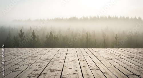 Wooden deck overlooking a misty forest landscape