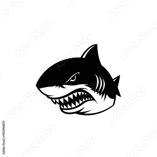 Black and white shark head illustration.