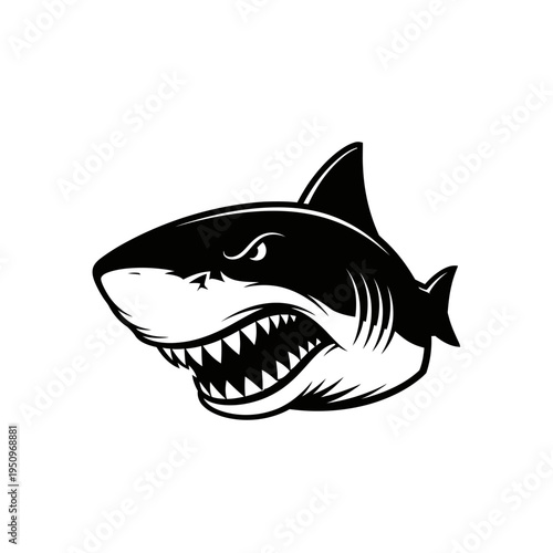 Black and white shark head illustration.