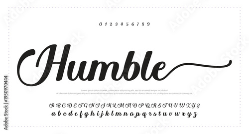 elegant handwritten font that captures a realistic signature style, great for personal logos and stationery. 