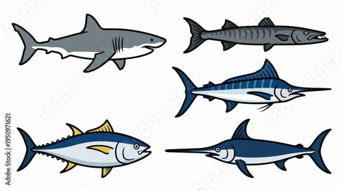 Collection of five different types of predatory ocean fish, including a shark, barracuda, tuna, marlin, and swordfish, depicted in a flat illustration style.