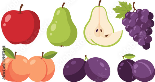 Fresh Fruit Collection Featuring Apple Pear Grapes Peaches and Plums for Healthy Food Nutrition Organic Farming Produce Market and Cooking Ingredient Illustration.