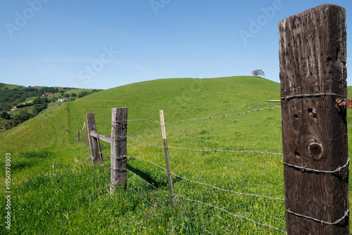 Foto Fence on a green grass hill in Martinez, California