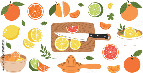 Citrus fruits vector illustration with oranges, lemons, limes and grapefruit, fresh slices and kitchen elements for healthy food and juice design