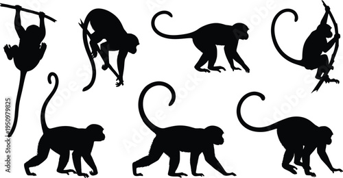 Monkey silhouettes set featuring various poses, climbing, sitting and walking primates representing wildlife, jungle animals, behavior study and nature illustration isolated on white background