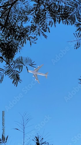 Plane flies in clear sky 
