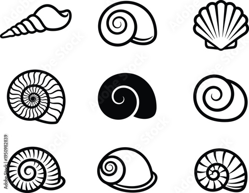 Seashell collection icons with spiral and scallop shells, marine ocean nature illustration set in black outline isolated on light background