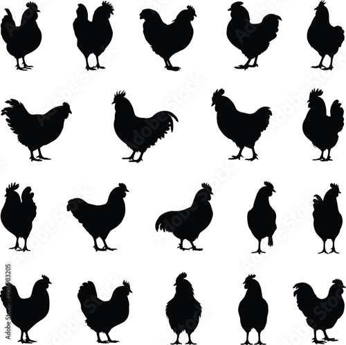 Chicken Silhouette Icons Collection Featuring Diverse Postures, Feathering Styles, and Comb Variations for Farm, Poultry, Agriculture, and Educational Design