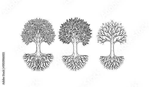 Artistic tree collection with detailed roots life growth nature vector set