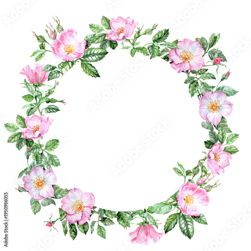 Round banner with rosehip