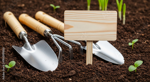 Garden tools lying on the ground with empty wooden sign, concept of gardening and outdoor work  