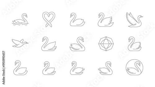 Set of 15 swan icons, outline signs and symbols of swans in simple linear style