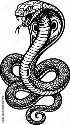 vector illustration of a black snake