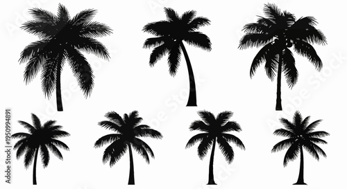 Collection of seven black palm tree silhouettes with detailed fronds and trunks, featuring various tropical species isolated on white background for graphic design and summer themes.