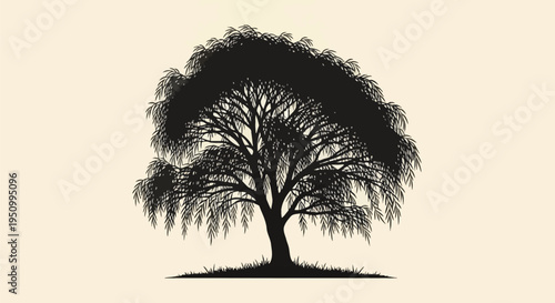 Detailed black silhouette of a weeping willow tree featuring intricate branches and drooping foliage on a solid light beige background, suitable for botanical and nature art themes.