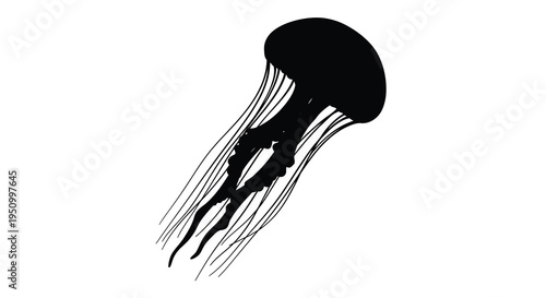 A striking black jellyfish illustration against a white background silhouette