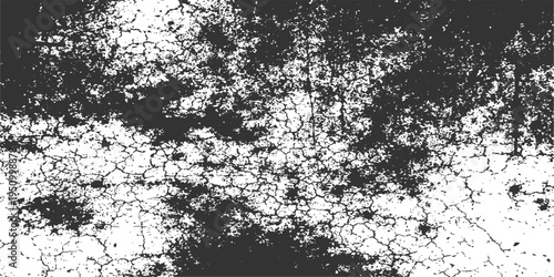Abstract crackle texture of a monochrome pattern with a high contrast, revealing intricate details of aging and erosion. this creates a strong visual impact.