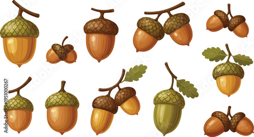 Hand-Drawn Acorn Collection with Different Stages and Leaf Pairings for Autumn, Fall, and Nature-Themed Designs.