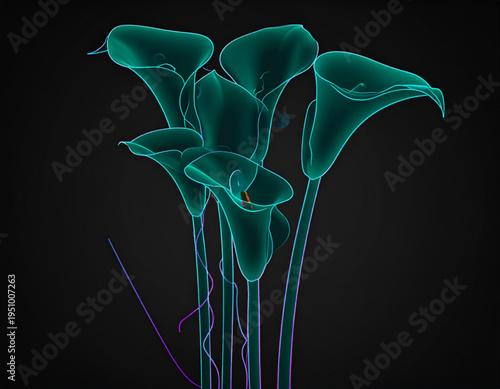 Biolum Calla Lily Glow Veins