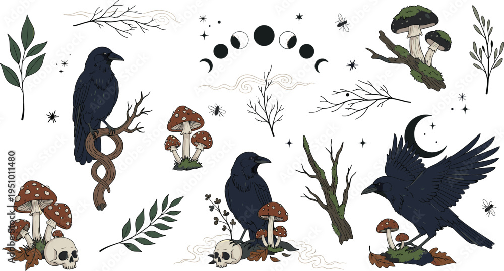 Fototapeta premium Mystical raven, mushrooms, skulls and forest elements collection with moon phases, witchcraft symbols and botanical branches, dark boho magic vector illustration set