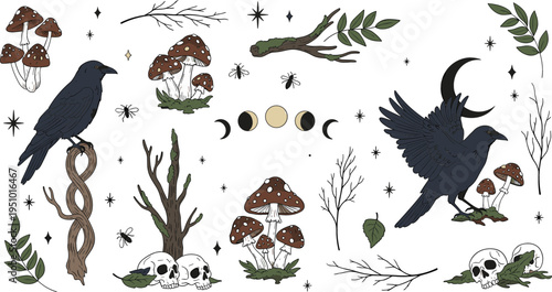 Mystical forest elements vector set featuring ravens, mushrooms, skulls, moon phases, branches and botanical elements in dark witchcraft aesthetic illustration