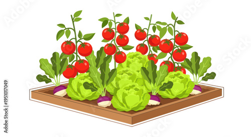 Vibrant Raised Garden Bed Overflowing with Fresh Tomatoes, Lettuce, and Root Vegetables