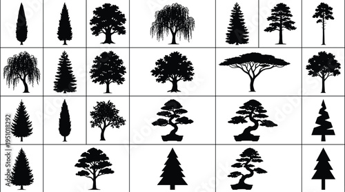 Tree Silhouette Collection Various Forest Trees Including Pine Oak Willow Bonsai and Acacia Black Nature Vector Illustration Set