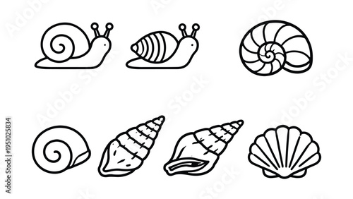 Snail and Seashell Icons Set – Marine Shells and Mollusk Line Art Illustration