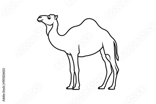 A simple line drawing of a camel standing on a plain background, looking to the left with a calm and serene expression.