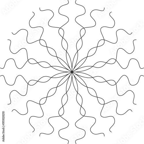 A delicate radial symmetrical mandala design formed by thin black wavy lines emanating from a central point creating a starburst or sunburst effect on a white background symbolizing nature and growth