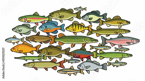 A diverse collection of freshwater fish species swimming together in a circular arrangement.