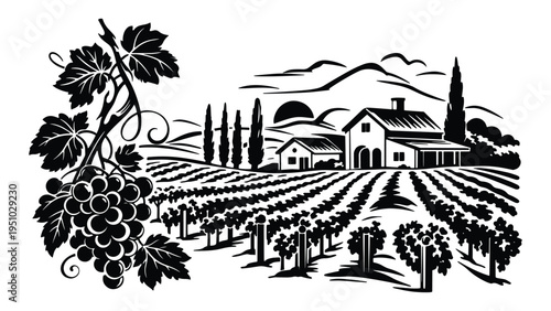 Vineyard Landscape Illustration – Winery, Grape Farm and Countryside Silhouette Scene