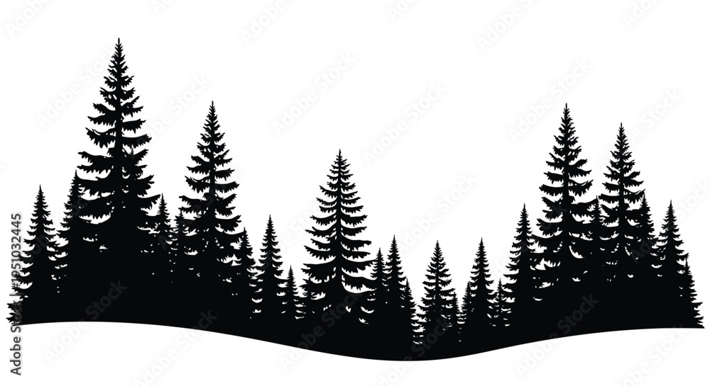 Fototapeta premium Dark coniferous forest landscape with a striking black silhouette