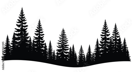 Dark coniferous forest landscape with a striking black silhouette