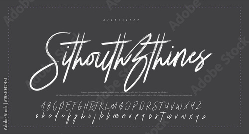 signature Font Calligraphy Logotype Script Brush Font Type Font lettering handwritten. vector illustration 