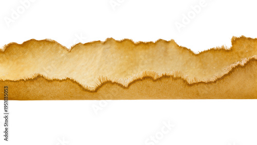 Roughly torn brown paper strip with fibrous, textured edge, an aged and weathered design element isolated for vintage projects and creative overlays
