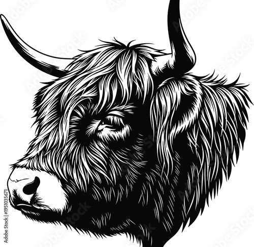 Black and white vector illustration of a highland cow head with long horns and shaggy fur in vintage woodcut style