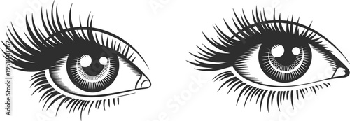 Beautiful female eyes with long eyelashes set, hand drawn black and white makeup, lash vector illustration concept