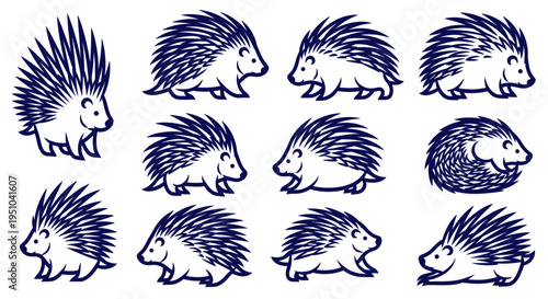 Cute Porcupine Character Collection, Different Poses and Expressions