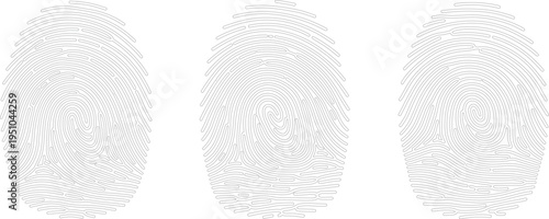 Flat vector illustration of three distinct fingerprint patterns showcasing biometric identity, forensic analysis, ridge details, and unique whorl formations