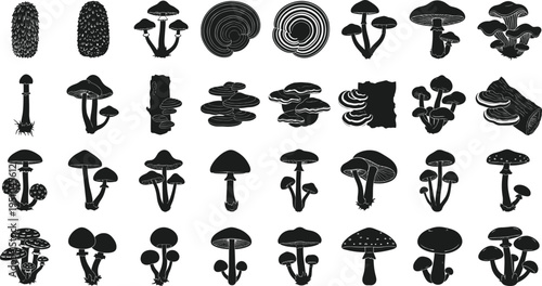 Comprehensive Collection of Mushroom Silhouettes Featuring Various Fungus Species Forest Toadstools and Wild Edible Fungi Shapes for Nature Graphic Design