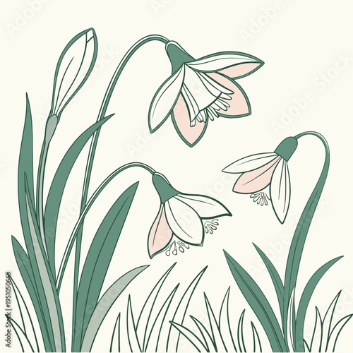 watercolor minimalistic isolated illustration 2