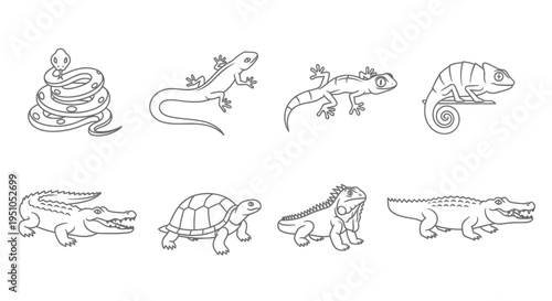 Collection of various reptile animals, line art style.