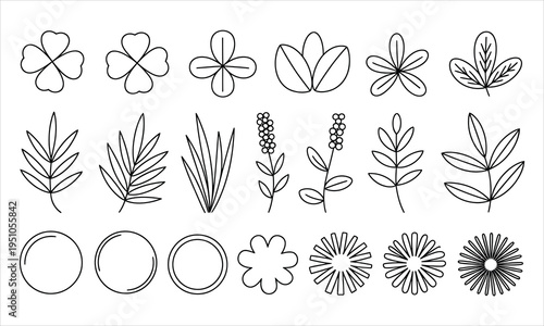A diverse assortment of outlined plant leaves, floral elements, and geometric circles on white