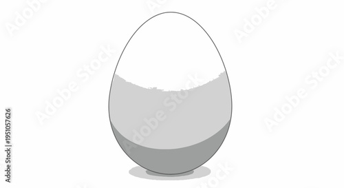 egg in a white background