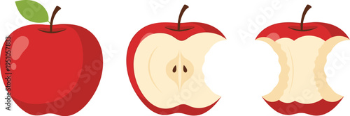 Red apple whole, half, and eaten core stages, fresh fruit illustration set, healthy food concept, apple life cycle